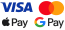 Plaćanje karticom (GoPay) / Apple Pay / Google Pay